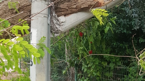 פארן1-27.4.18-אילן גיא.jpg