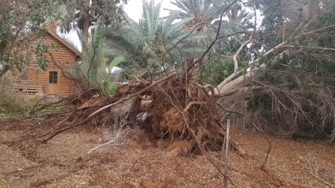 פארן2-27.4.18 אילן גיא.jpg