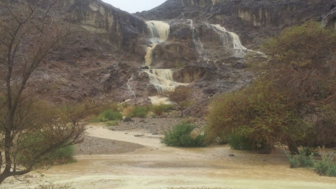20.2.15 גילי לקח - נחל גוונים.jpg