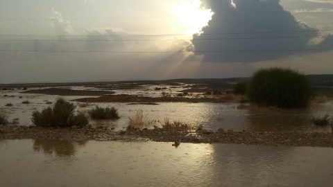 נחל שפן. צילום: חי צומברג