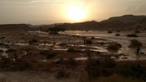 נחל צופר. צילום: גיל לקח