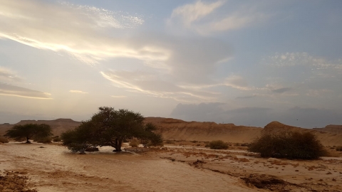 נחל צופר. צילום: גיל סלוין