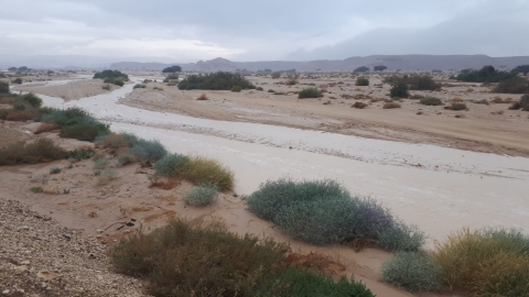 נחל נקרות 7.2.19. צילום:רועי פטריק