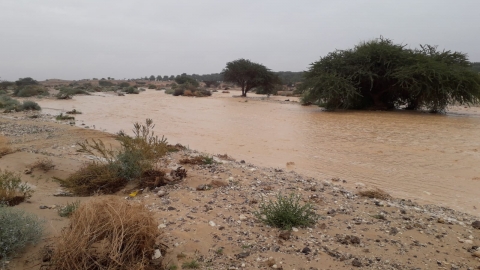 נחל גדרון 7.2.19. צילום:צביקי אגר