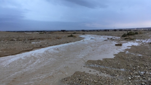 נחל עברונה 7.2.19. צילום: רחלי ארמוזה