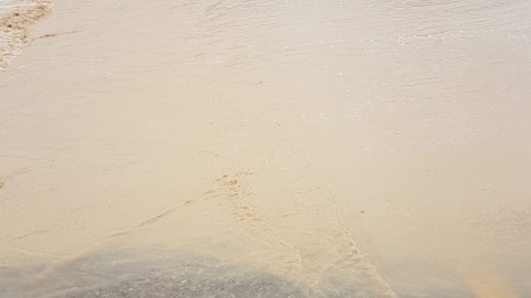 נחל פארן 7.2.19. צילום:רועי פרס