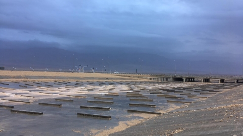 הרחם 7.2.19. צילום:רחלי ארמוזה