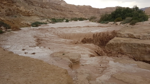 נחל צין 5.3.19. צילום:רמי קושניר