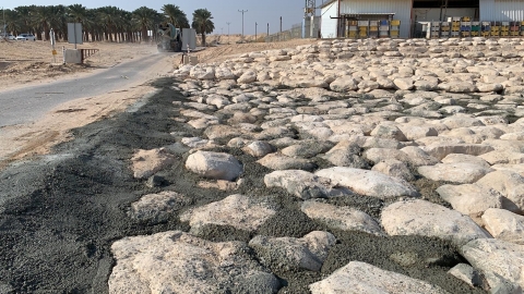 ינואר 2020 צילום: גל שני