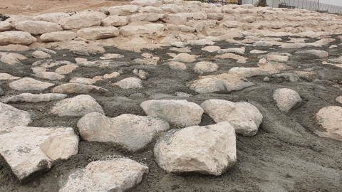 ינואר 2021 צילום: גל שני